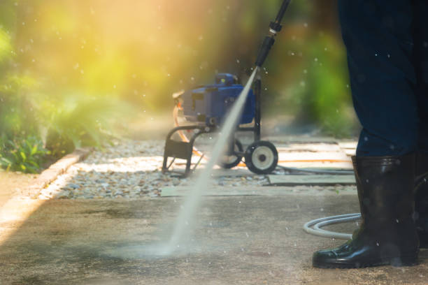 Animal Enclosure Cleaning in Summit, NJ
